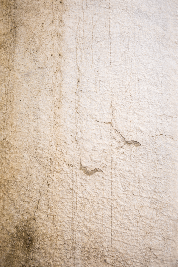 Professional cleaning standards and safety guidelines by Premier Pro Cleaners Florida