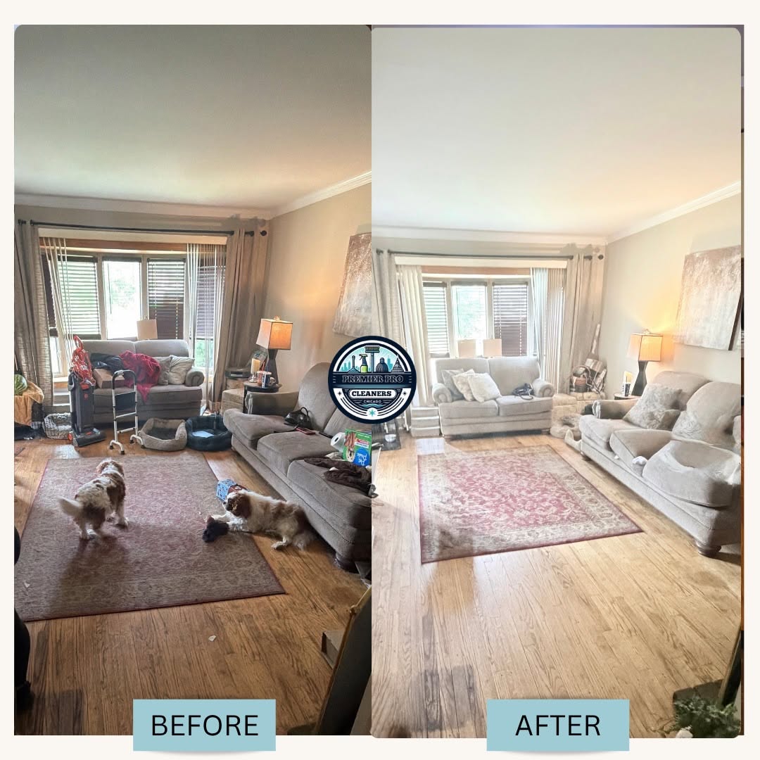 Before and after living room and carpet cleaning Boca Raton